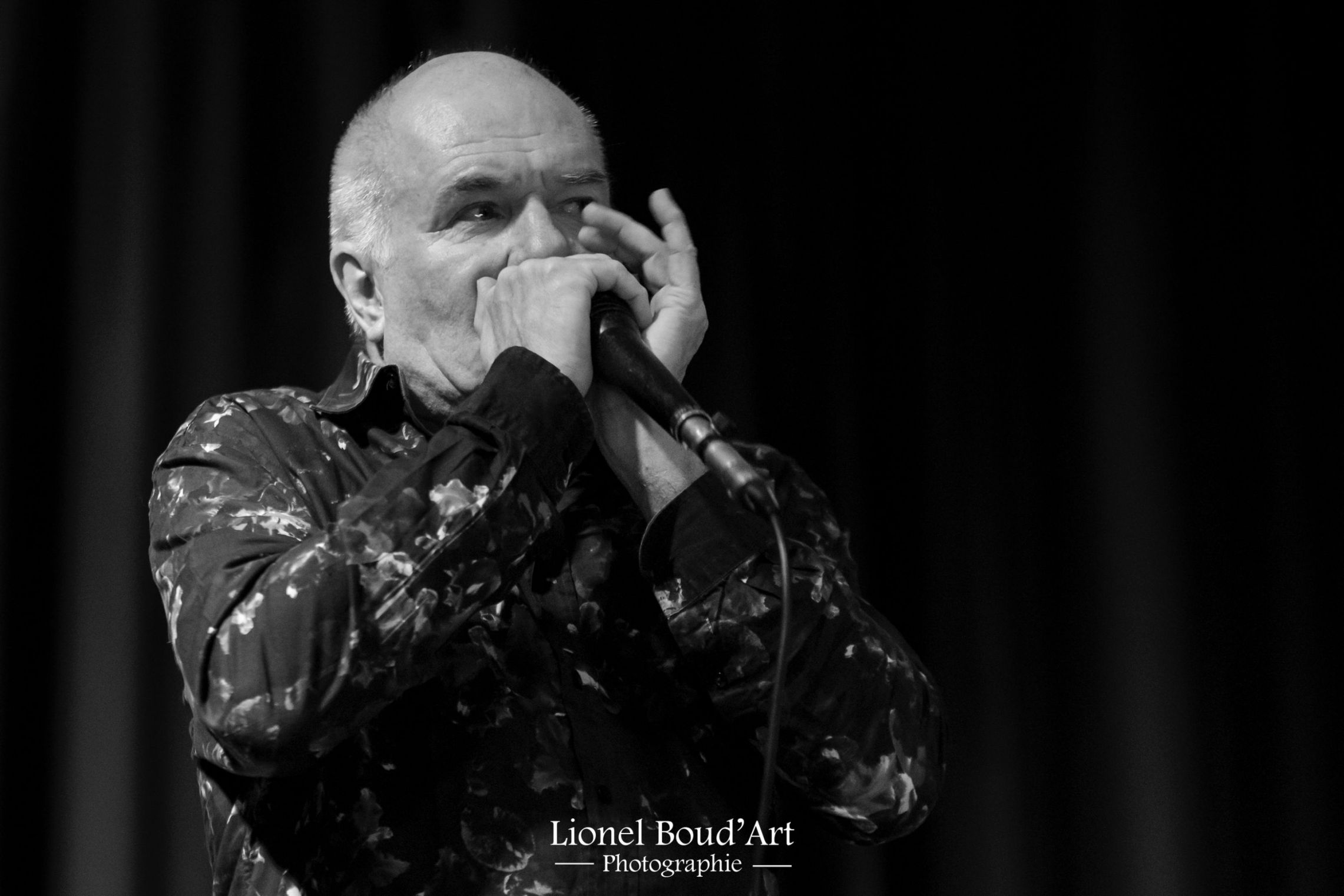 Denis François, musicien et harmoniciste talentueux des Pangies, connu pour son jeu d'harmonica expressif qui ajoute une touche blues et folk aux performances du duo.