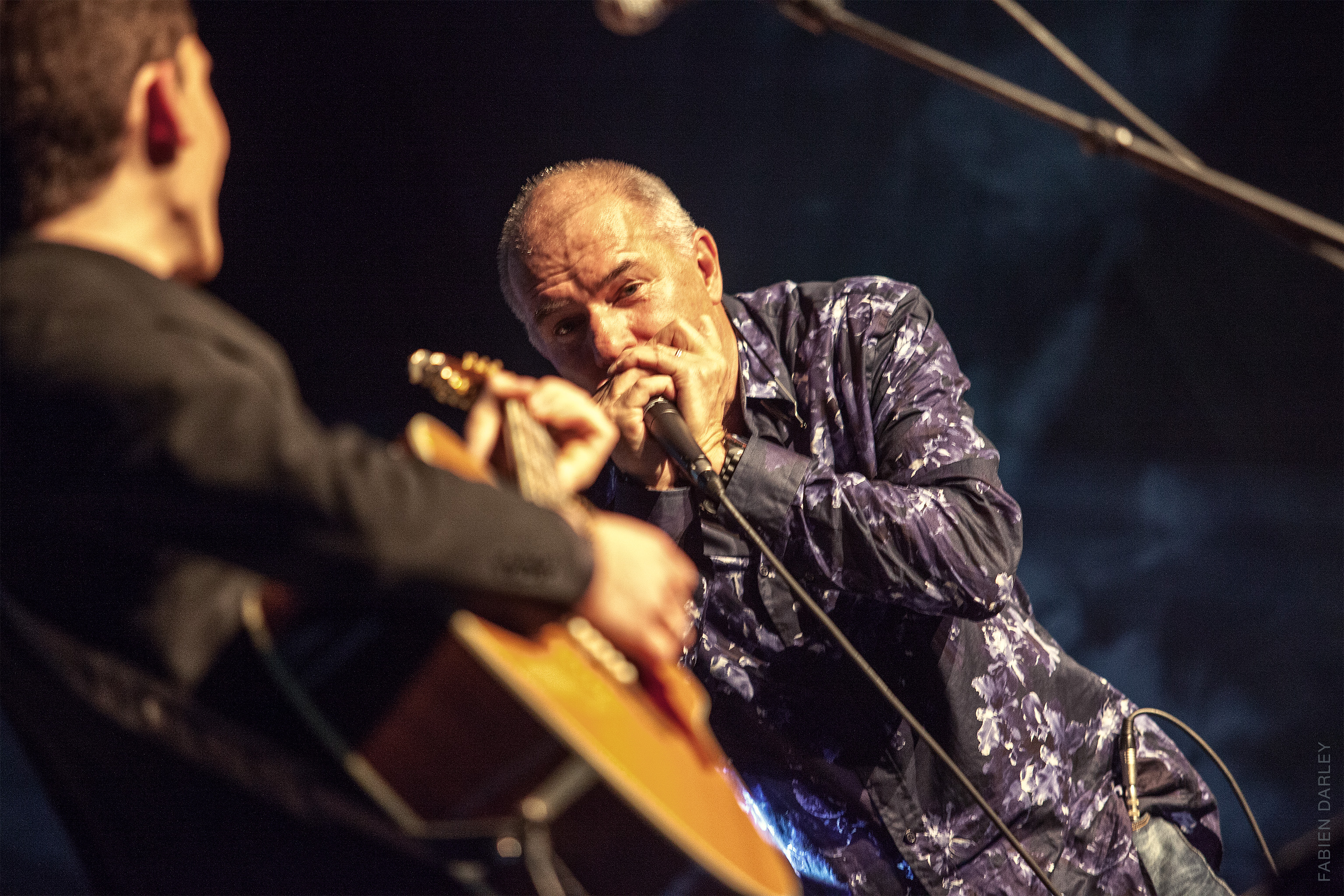 Les Pangies – photo 13