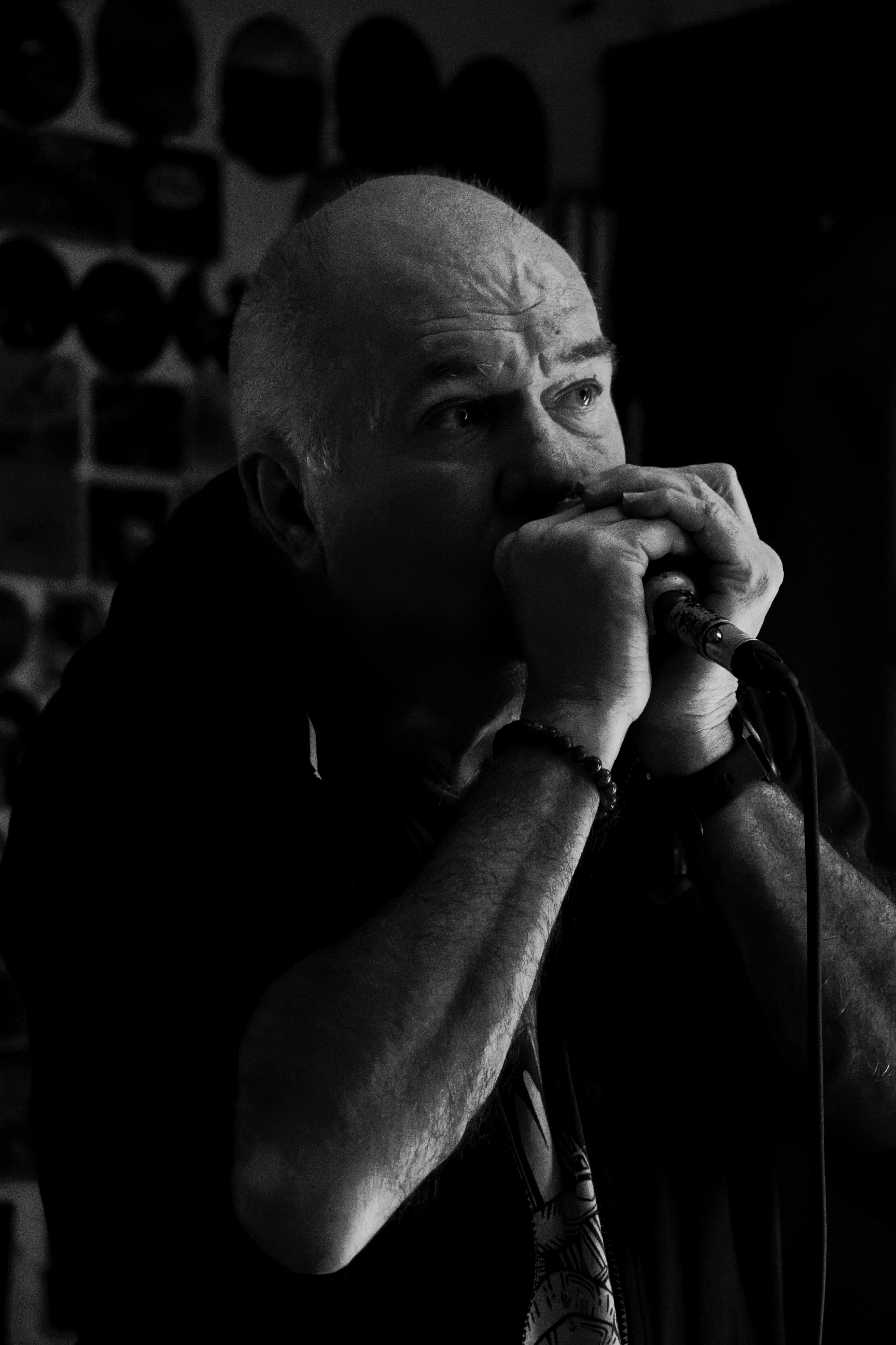 Les Pangies – photo 6