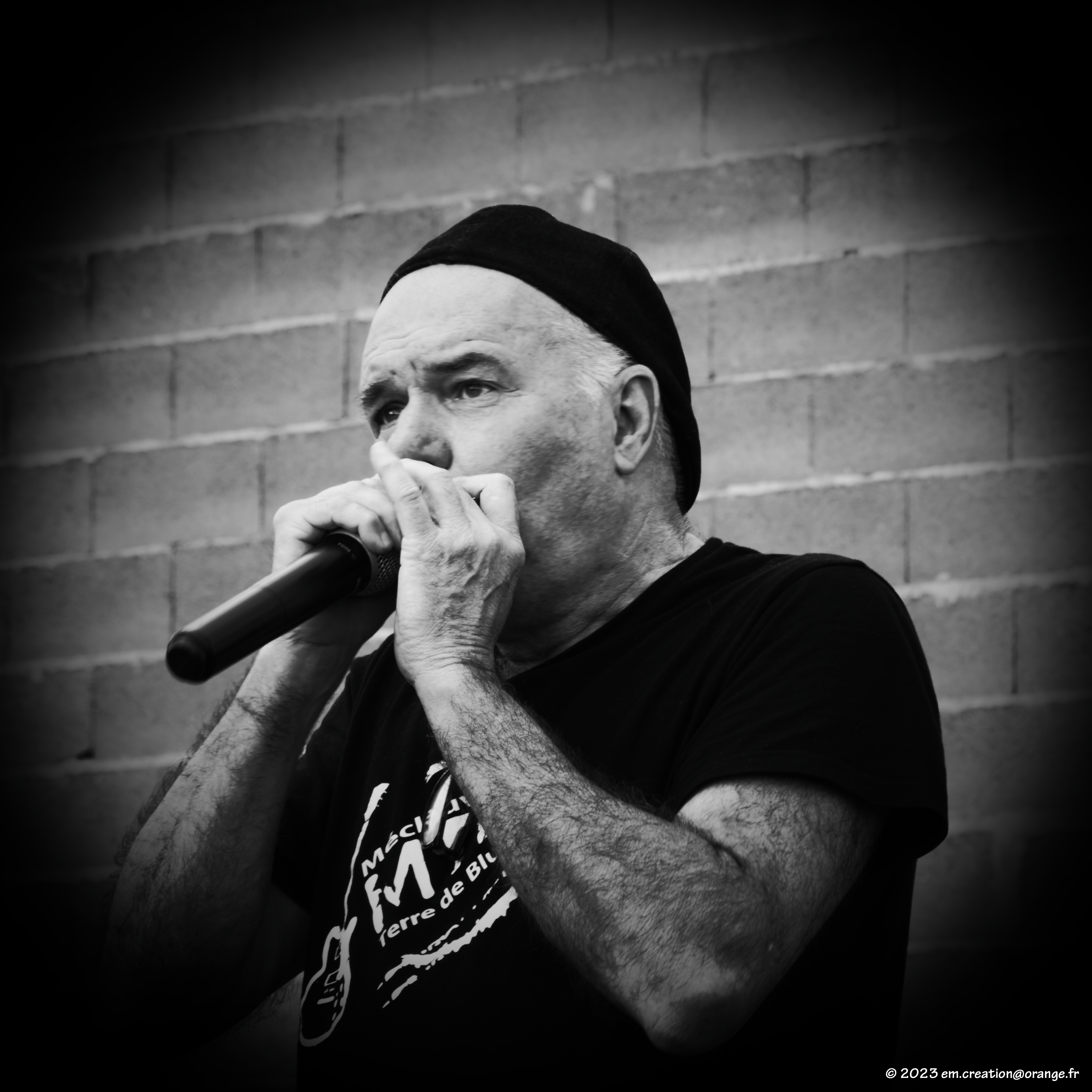 Les Pangies – photo 9